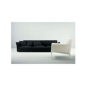Darwin_Arflex_03