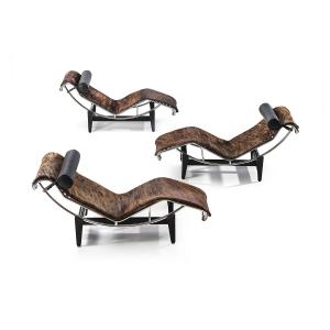 lc4_pampas_cassina-3