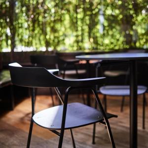 4455-sedie-rex-kralj-9