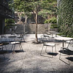 zelo-sedia-rex-kralj-9