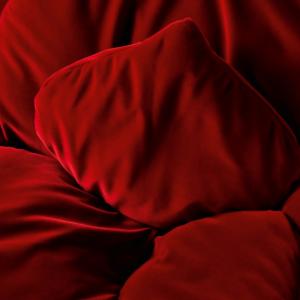 rose-chair-poltrona-edra-6
